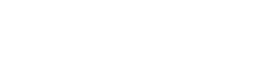 Sandvik logo white